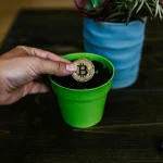 A bitcoin coin being placed into a green pot, symbolizing investment growth.